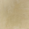 V06 (Egg Shell)