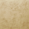 V19 (Champagne)