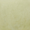 V18 (Olive)