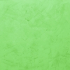 V50 (Mint)